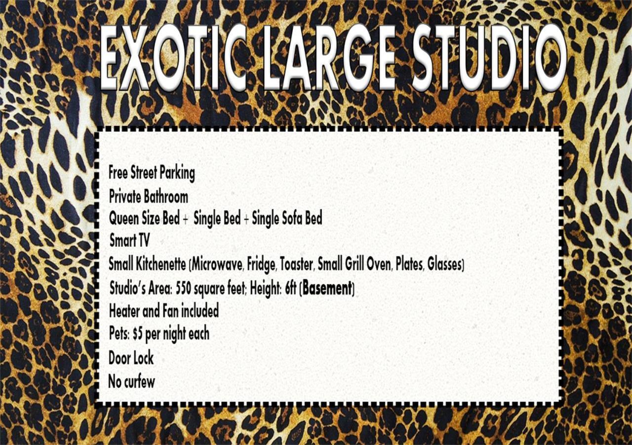 Exotic Large Basement Studio Hotel Montreal Bagian luar foto